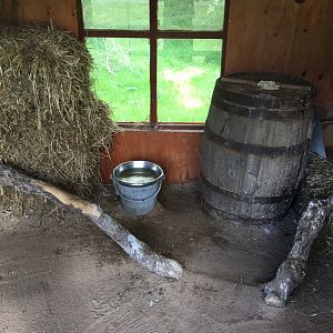 African barn owl exhibit 040817