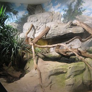 Rostock Zoo - Darwineum - Rhinoceros iguana exhibit