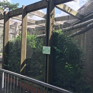 Red titi enclosure 040817