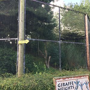 Great grey owl enclosure 040817