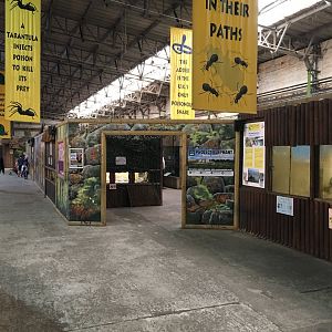 Entrance to Reptile area within Elephant House 040817