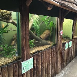 Reptile House exhibits 040817