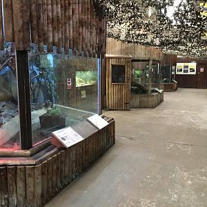 Reptile House exhibits 040817