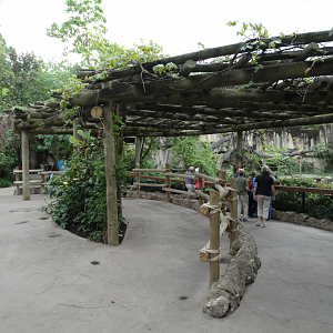 Aug. 2017 - Gorilla World - Renovated Gorilla Viewing