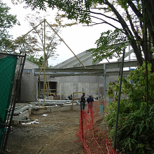 Aug. 2017 - Gorilla World - Future Indoor Exhibit