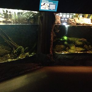 Fish tanks