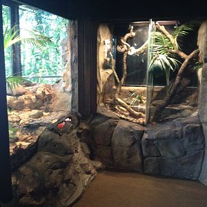 Snake enclosures