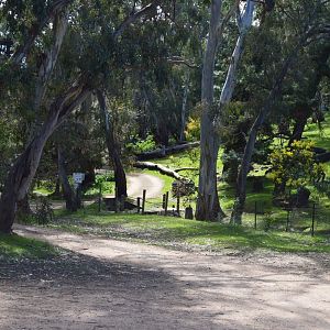 Entrance - Humbug Scrub