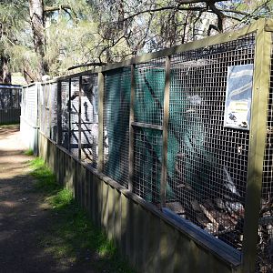 Aviaries - Humbug Scrub