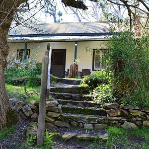 Homestead - Humbug Scrub