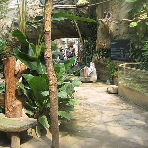 Rostock Zoo - Darwineum - General view of the tropical hall