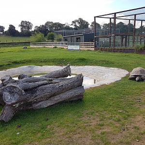 Aldabra tortoise yard - NAZF