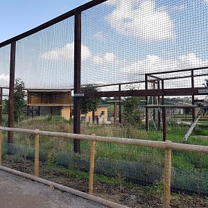 Completed Vulture Aviary - NAZF