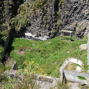 Spectacled Bear enclosure