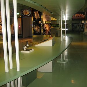 Rostock Zoo - Darwineum - Exhibition on cultural evolution