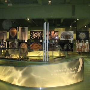 Rostock Zoo - Darwineum - Exhibition on cultural evolution