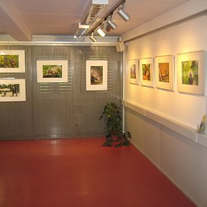 Rostock Zoo - Atelier Natur