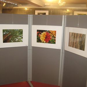 Rostock Zoo - Atelier Natur