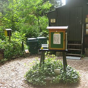 Rostock Zoo - "Bee trailer"