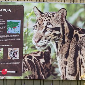 Clouded Leopard Signage