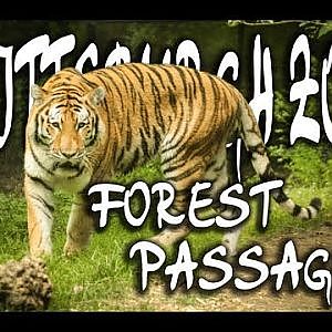 Forest Passage Exhibit Walkthrough