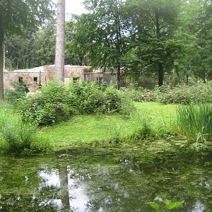 Rostock Zoo - Patas monkey exhibit