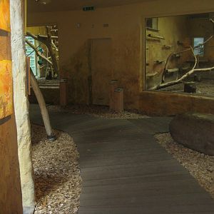 Rostock Zoo - Old World monkey house