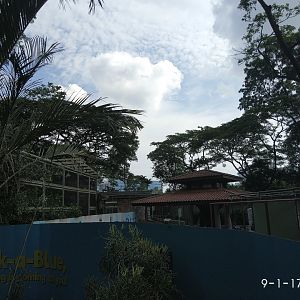 Parrots Paradise Renovations