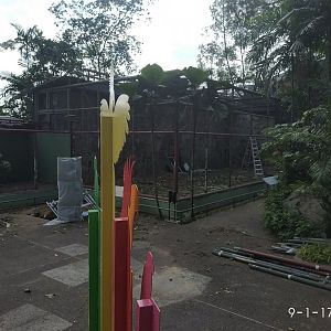 Parrots Paradise Renovations
