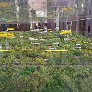 Mandai Development Diorama - Rainforest Park North
