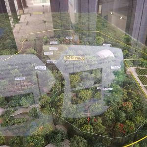 Mandai Development Diorama - New Bird Park