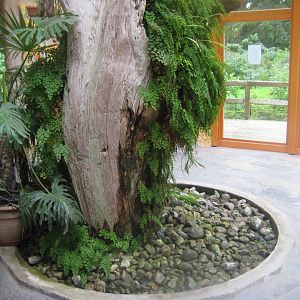 Rostock Zoo - Old World monkey house