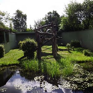 Chimpanzee enclosure