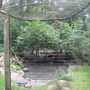 Rostock Zoo - Ibis aviary