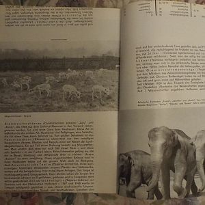 Misprint from a Tierpark Berlin guide