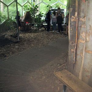 Rostock Zoo - Rainforest Pavilion - General view
