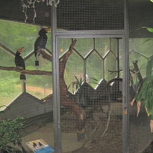 Rostock Zoo - Rainforest Pavilion - Hornbill aviary