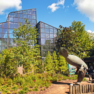 Sep. 2017 - Manatee Springs