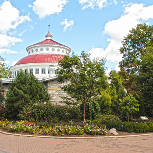 Sep. 2017 - Reptile House