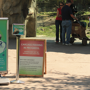 Sep. 2017 - Africa - Carcass Feeding in Progress