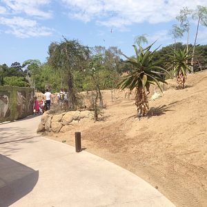 Walk Way To Kopje 1st Turn