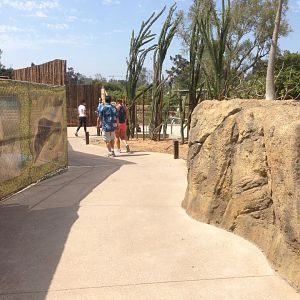 Walk Way To Kopje 2nd Turn