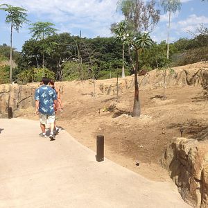 Walk Way To Kopje Before 2nd Turn