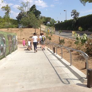 Walk Way To Kopje Entrance