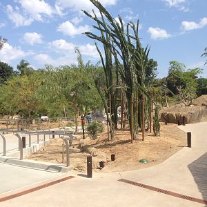 Walk Way To Kopje 3rd Turn