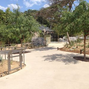 Walk Way To Kopje 4th Turn