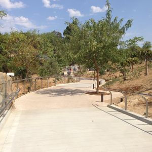 Walk Way To Kopje After 3rd Turn