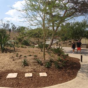 Walk Way To Kopje Up Toward 4th Turn