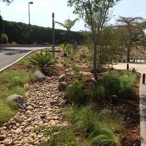 Bus Path Corner - Kopje To Back Right