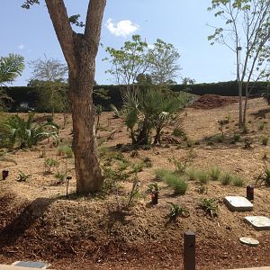 Foliage Along 4th Turn